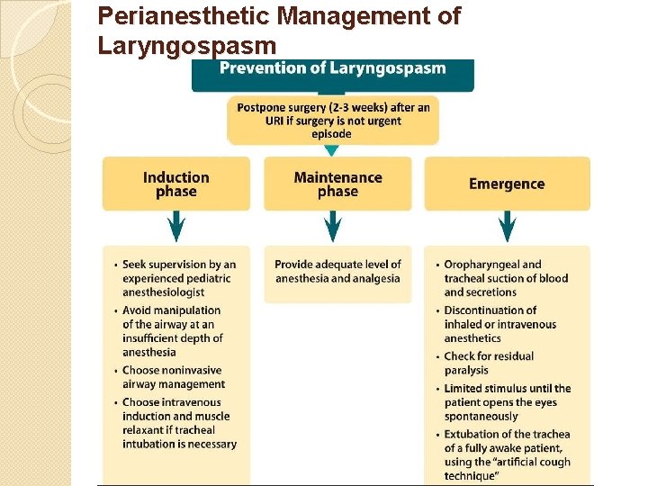 Perianesthetic Management of Laryngospasm 