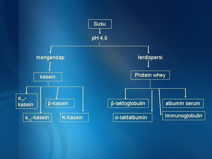 Susu p. H 4, 6 mengendap Protein whey kasein αs 1 kasein β-kasein αs