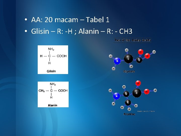  • AA: 20 macam – Tabel 1 • Glisin – R: -H ;