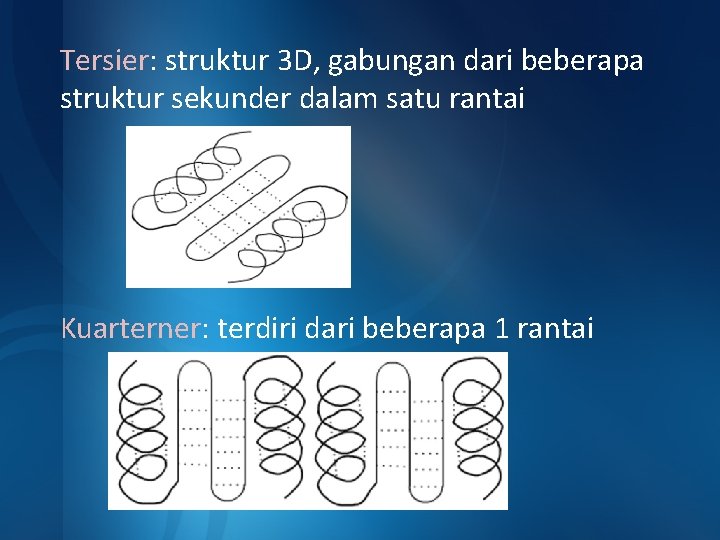 Tersier: struktur 3 D, gabungan dari beberapa struktur sekunder dalam satu rantai Kuarterner: terdiri