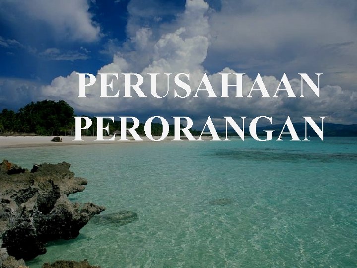 PERUSAHAAN PERORANGAN 