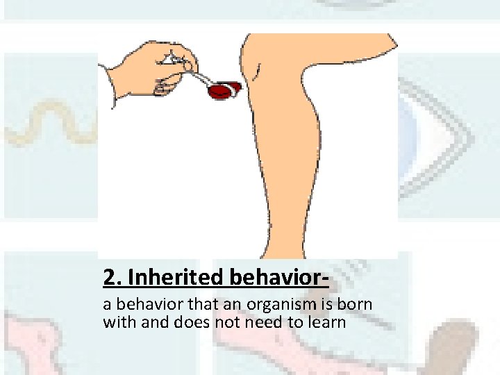 2. Inherited behaviora behavior that an organism is born with and does not need