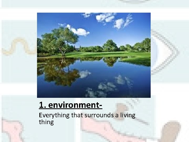 1. environment. Everything that surrounds a living thing 