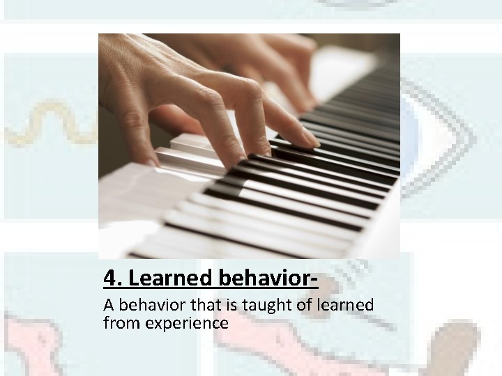 4. Learned behavior. A behavior that is taught of learned from experience 4. Learned behavior. A behavior that is taught of learned from experience