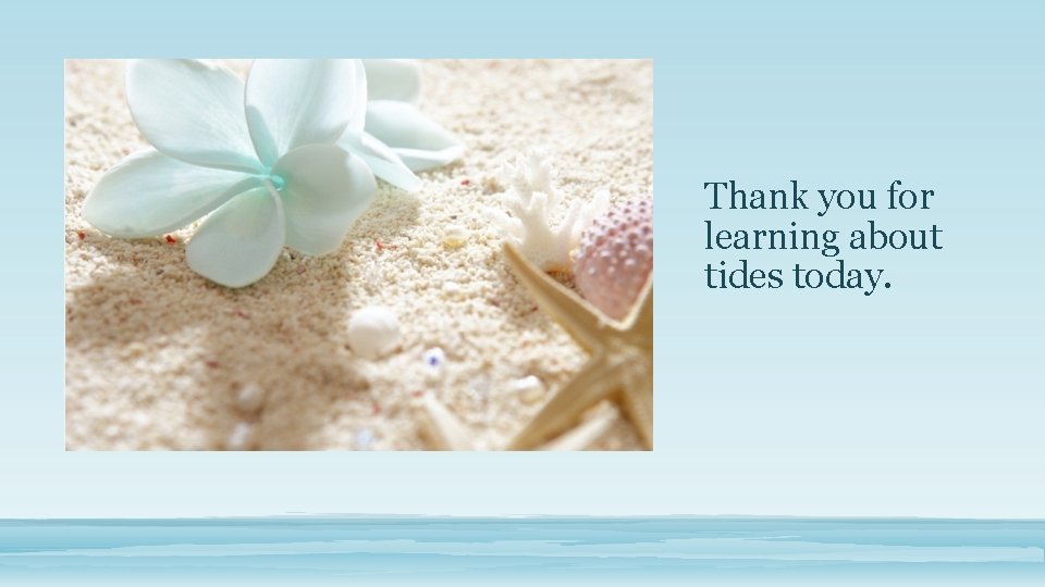 Thank you for learning about tides today. 