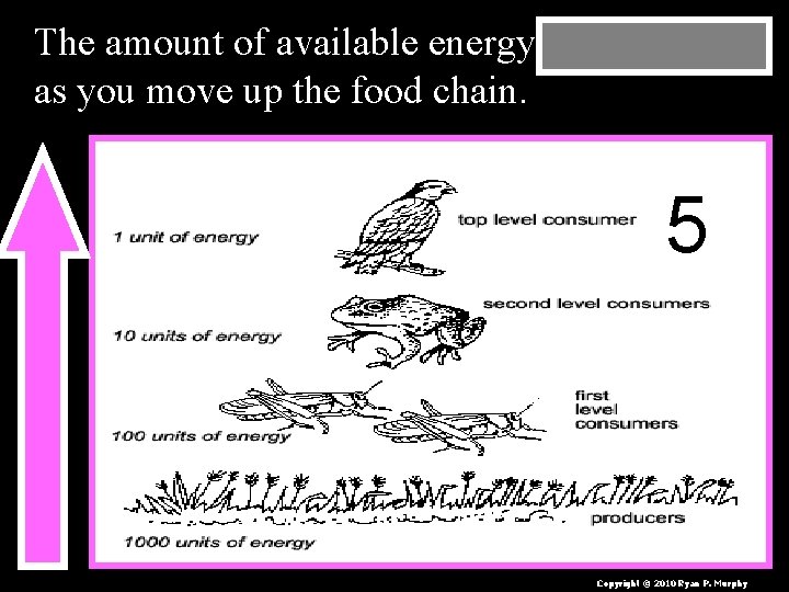The amount of available energy decreases as you move up the food chain. 5