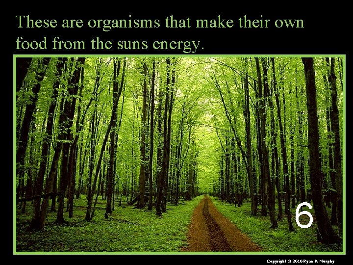 These are organisms that make their own food from the suns energy. 6 Copyright