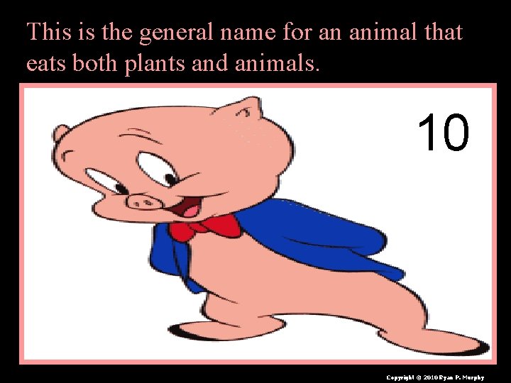 This is the general name for an animal that eats both plants and animals.