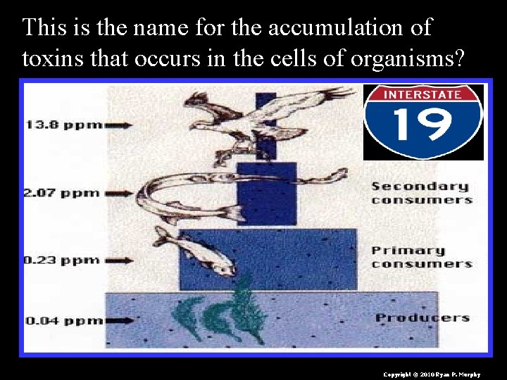 This is the name for the accumulation of toxins that occurs in the cells