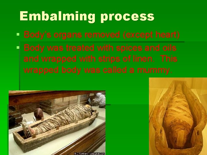 Embalming process § Body’s organs removed (except heart) § Body was treated with spices