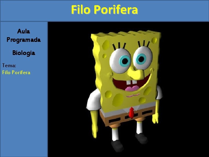 Filo Porifera Aula Programada Biologia Tema: Filo Porifera 