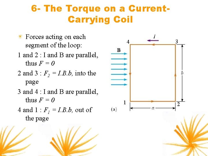 6 - The Torque on a Current. Carrying Coil Forces acting on each segment