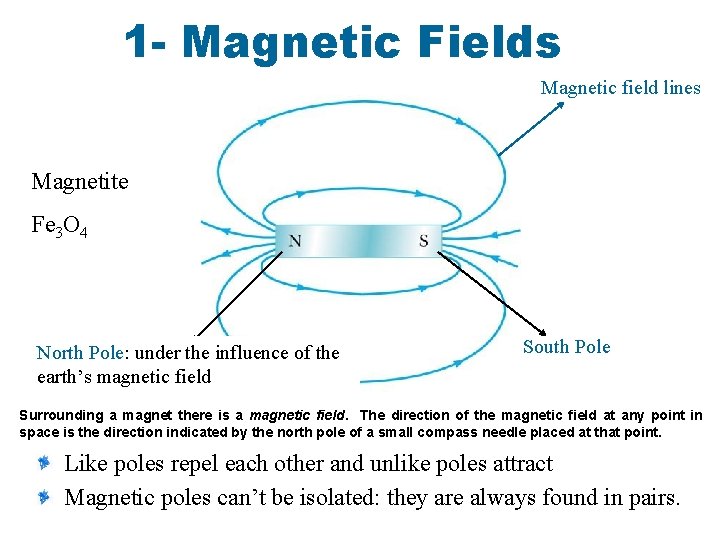 1 - Magnetic Fields Magnetic field lines Magnetite Fe 3 O 4 North Pole: