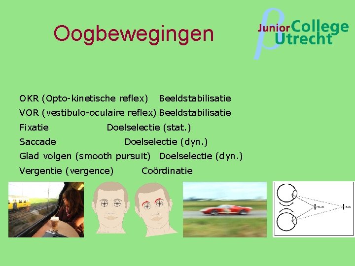 Oogbewegingen OKR (Opto-kinetische reflex) Beeldstabilisatie VOR (vestibulo-oculaire reflex) Beeldstabilisatie Fixatie Doelselectie (stat. ) Saccade