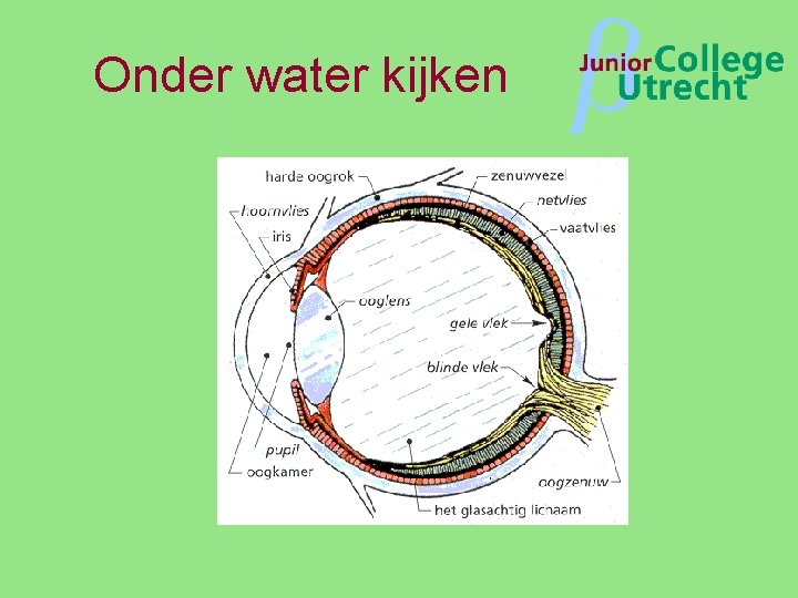 Onder water kijken β 