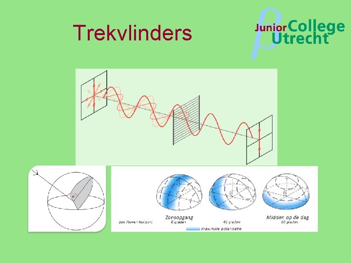 Trekvlinders β 