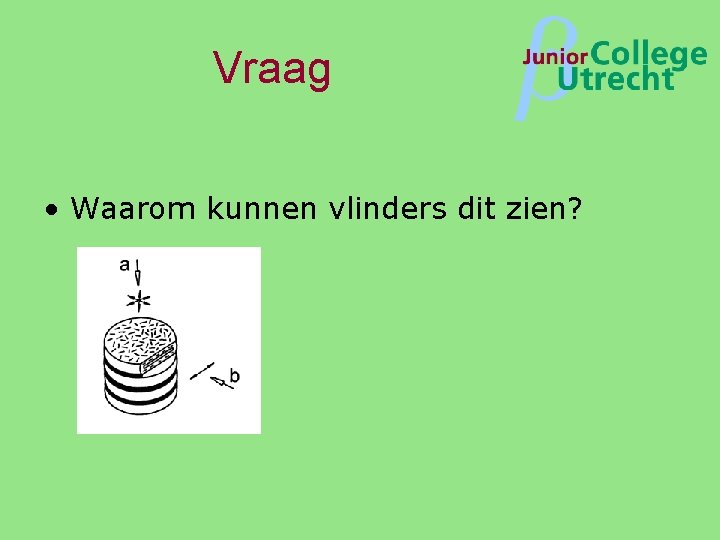 Vraag β • Waarom kunnen vlinders dit zien? 