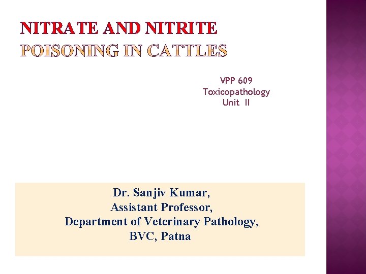NITRATE AND NITRITE VPP 609 Toxicopathology Unit II Dr. Sanjiv Kumar, Assistant Professor, Department
