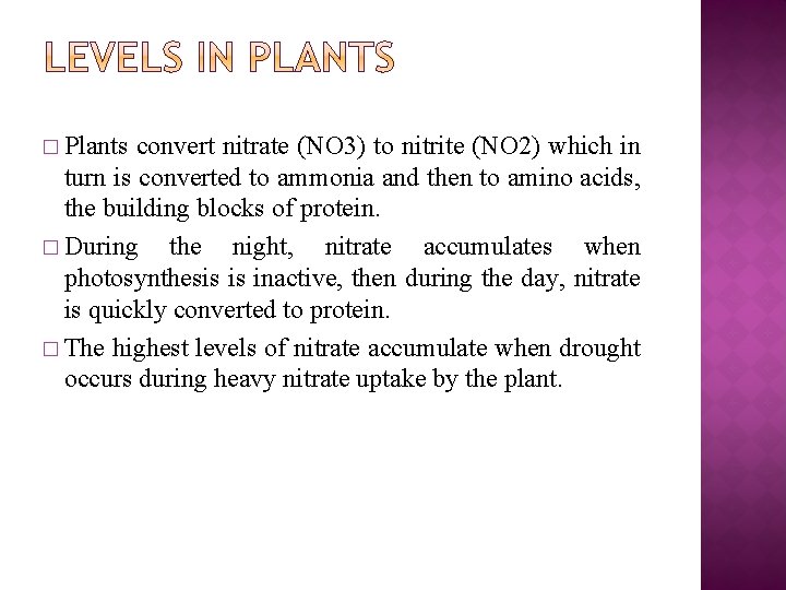 � Plants convert nitrate (NO 3) to nitrite (NO 2) which in turn is