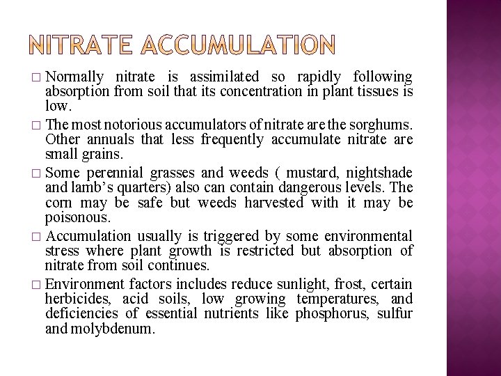 Normally nitrate is assimilated so rapidly following absorption from soil that its concentration in