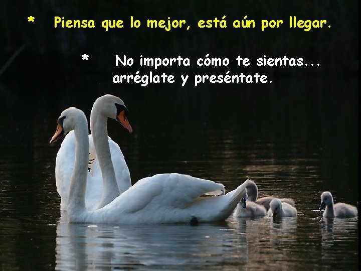 * Piensa que lo mejor, está aún por llegar. * No importa cómo te