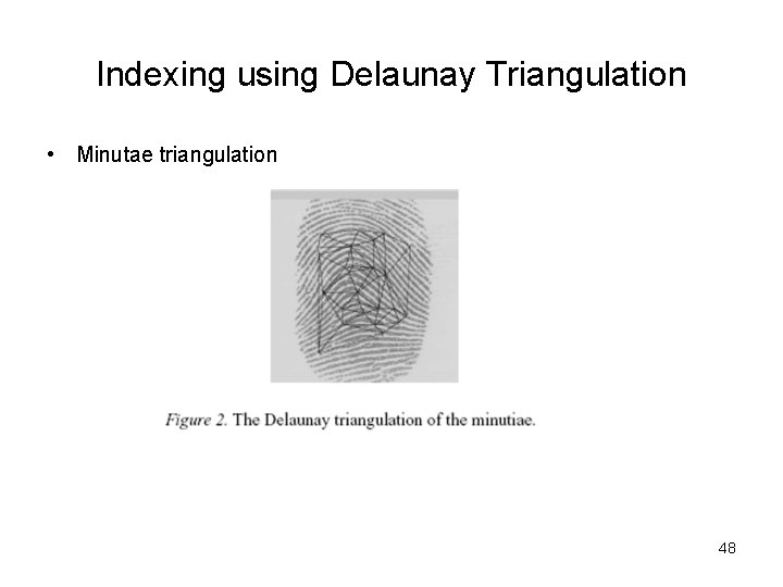 Indexing using Delaunay Triangulation • Minutae triangulation 48 