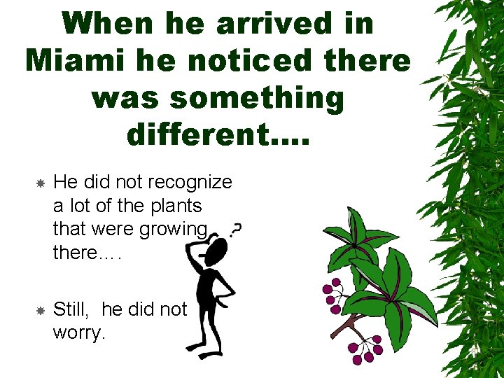 When he arrived in Miami he noticed there was something different…. He did not When he arrived in Miami he noticed there was something different…. He did not