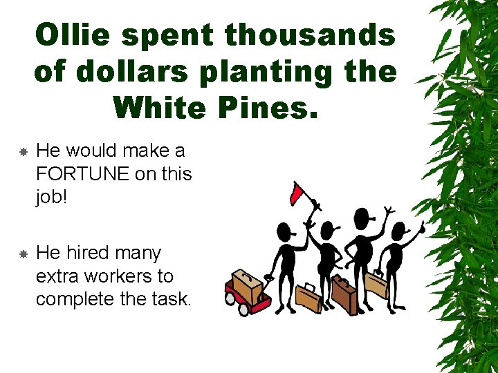 Ollie spent thousands of dollars planting the White Pines. He would make a FORTUNE Ollie spent thousands of dollars planting the White Pines. He would make a FORTUNE