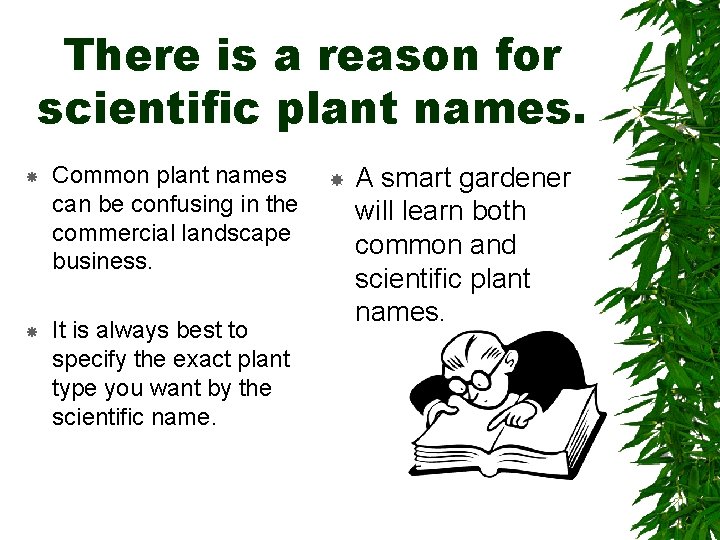 There is a reason for scientific plant names. Common plant names can be confusing There is a reason for scientific plant names. Common plant names can be confusing