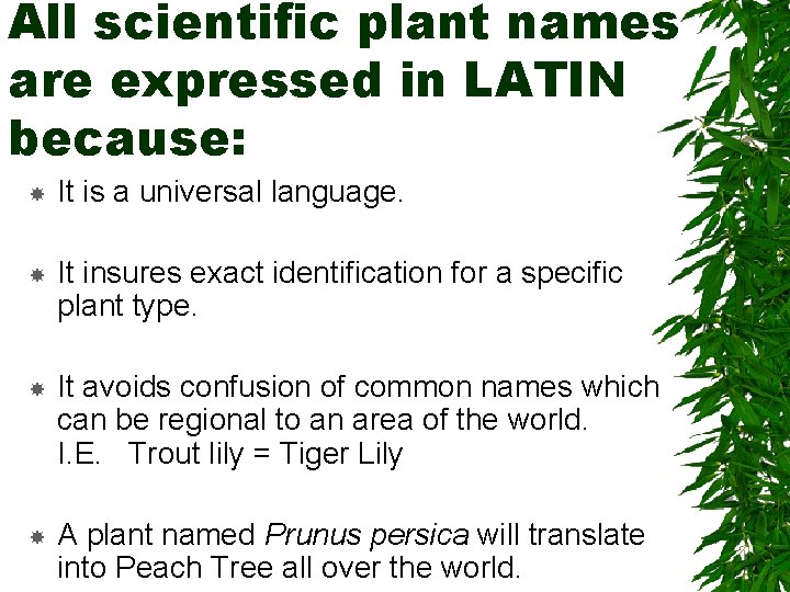 All scientific plant names are expressed in LATIN because: It is a universal language. All scientific plant names are expressed in LATIN because: It is a universal language.