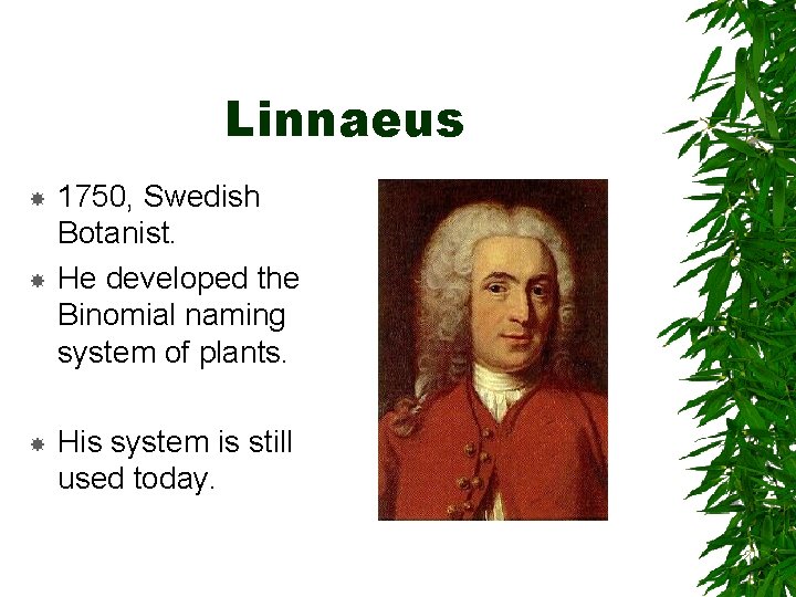 Linnaeus 1750, Swedish Botanist. He developed the Binomial naming system of plants. His system Linnaeus 1750, Swedish Botanist. He developed the Binomial naming system of plants. His system