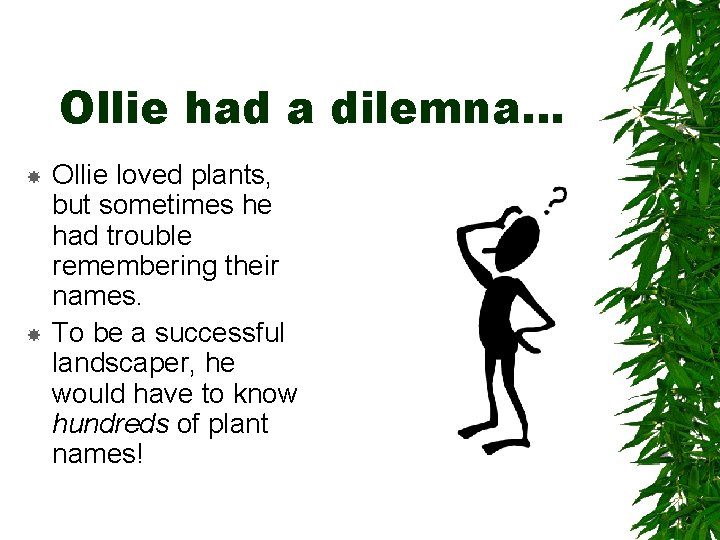 Ollie had a dilemna… Ollie loved plants, but sometimes he had trouble remembering their Ollie had a dilemna… Ollie loved plants, but sometimes he had trouble remembering their