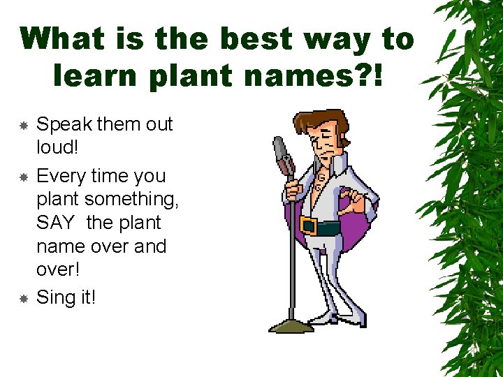What is the best way to learn plant names? ! Speak them out loud! What is the best way to learn plant names? ! Speak them out loud!