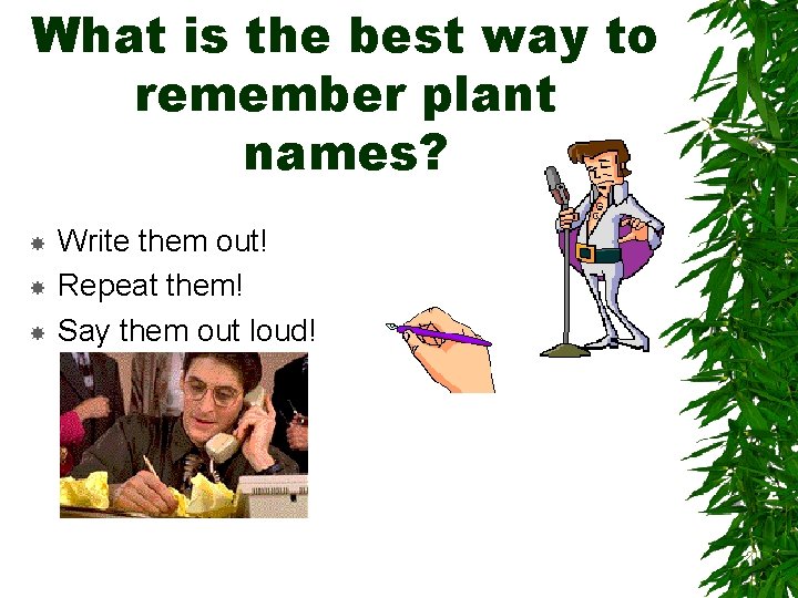What is the best way to remember plant names? Write them out! Repeat them! What is the best way to remember plant names? Write them out! Repeat them!