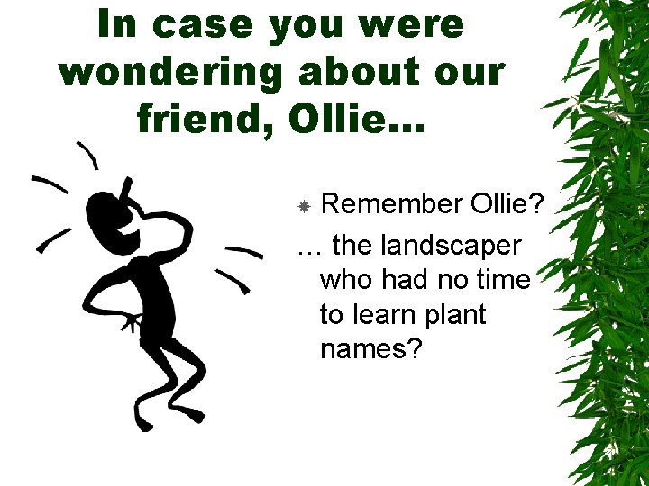 In case you were wondering about our friend, Ollie… Remember Ollie? … the landscaper In case you were wondering about our friend, Ollie… Remember Ollie? … the landscaper