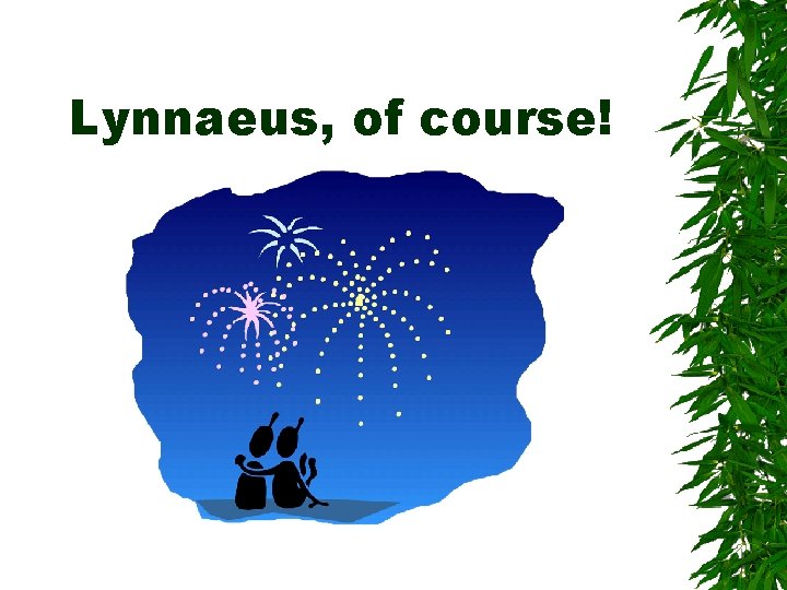 Lynnaeus, of course! Lynnaeus, of course!