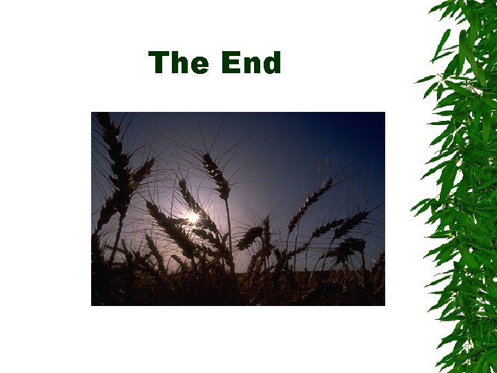 The End The End