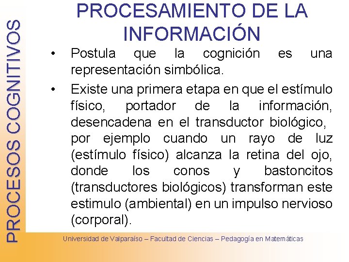 PROCESOS COGNITIVOS PROCESAMIENTO DE LA INFORMACIÓN • • Postula que la cognición es una