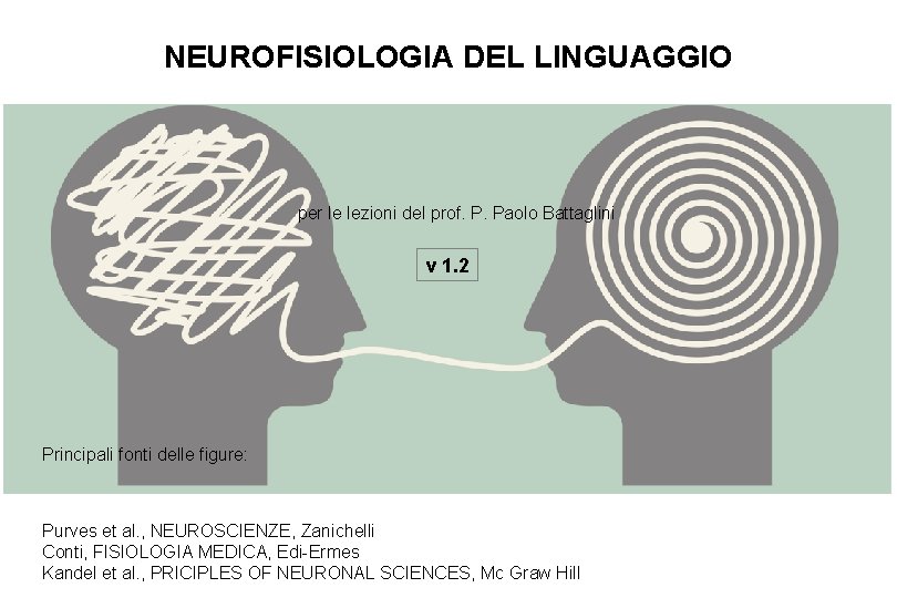NEUROFISIOLOGIA DEL LINGUAGGIO per le lezioni del prof. P. Paolo Battaglini v 1. 2 NEUROFISIOLOGIA DEL LINGUAGGIO per le lezioni del prof. P. Paolo Battaglini v 1. 2