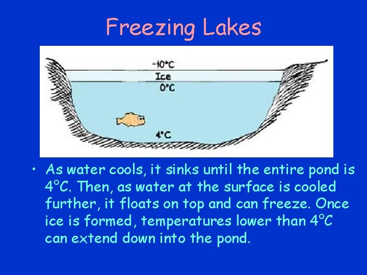 Freezing Lakes • As water cools, it sinks until the entire pond is 4°C. Freezing Lakes • As water cools, it sinks until the entire pond is 4°C.