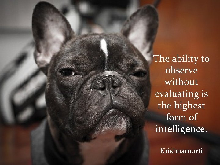 The ability to observe without evaluating is the highest form of intelligence. Krishnamurti 