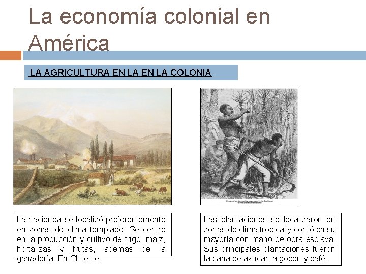 La economía colonial en América LA AGRICULTURA EN LA COLONIA La hacienda se localizó