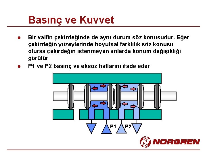 Basınç ve Kuvvet l l Bir valfin çekirdeğinde de aynı durum söz konusudur. Eğer