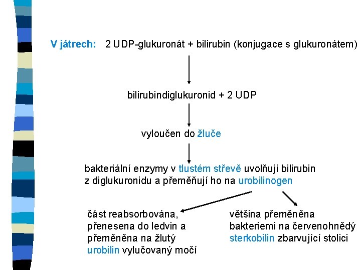 V játrech: 2 UDP-glukuronát + bilirubin (konjugace s glukuronátem) bilirubindiglukuronid + 2 UDP vyloučen