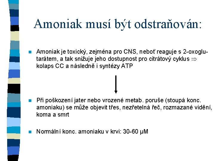 Amoniak musí být odstraňován: n Amoniak je toxický, zejména pro CNS, neboť reaguje s