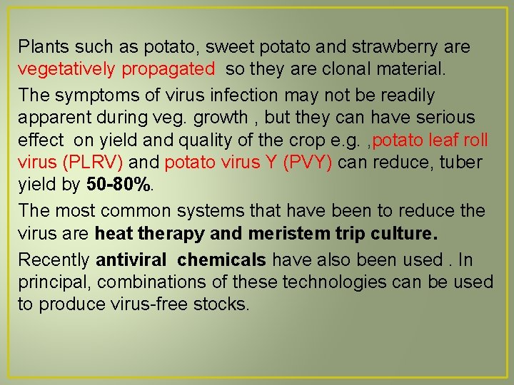 Plants such as potato, sweet potato and strawberry are vegetatively propagated so they are