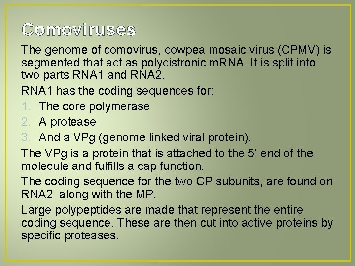 Comoviruses The genome of comovirus, cowpea mosaic virus (CPMV) is segmented that act as