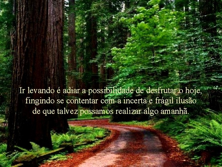 Ir levando é adiar a possibilidade de desfrutar o hoje, fingindo se contentar com