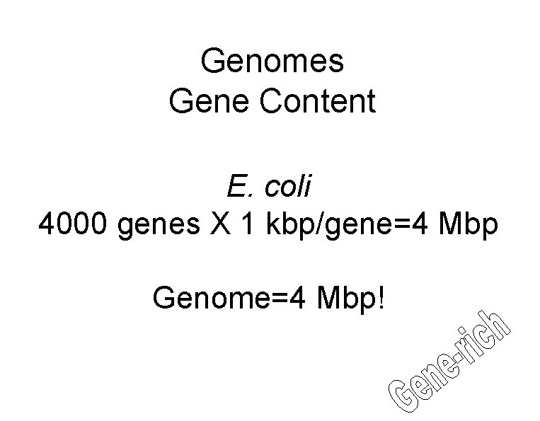 Genomes Gene Content E. coli 4000 genes X 1 kbp/gene=4 Mbp Genome=4 Mbp! 