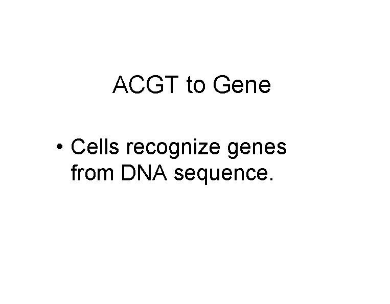 ACGT to Gene • Cells recognize genes from DNA sequence. 